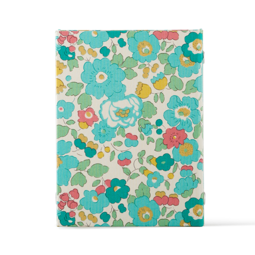 タナローンローブ2 MICRO5 15mm[2822] SIDE TOOL ASHFORD